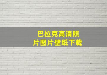 巴拉克高清照片图片壁纸下载