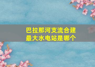 巴拉那河支流合建最大水电站是哪个