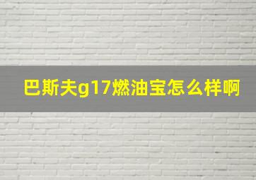 巴斯夫g17燃油宝怎么样啊