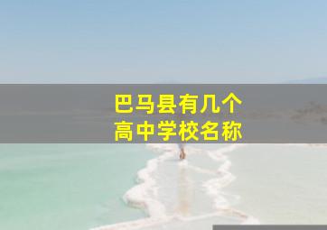 巴马县有几个高中学校名称