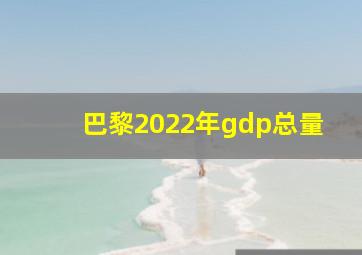 巴黎2022年gdp总量