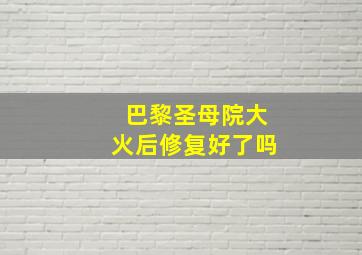 巴黎圣母院大火后修复好了吗