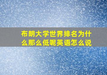 布朗大学世界排名为什么那么低呢英语怎么说