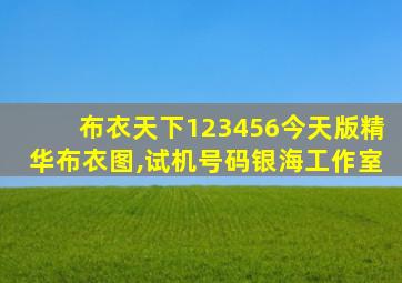 布衣天下123456今天版精华布衣图,试机号码银海工作室