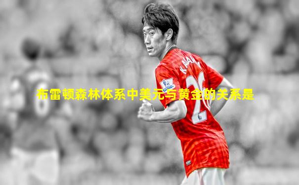 布雷顿森林体系中美元与黄金的关系是