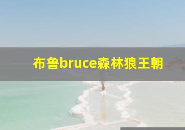 布鲁bruce森林狼王朝