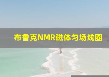 布鲁克NMR磁体匀场线圈