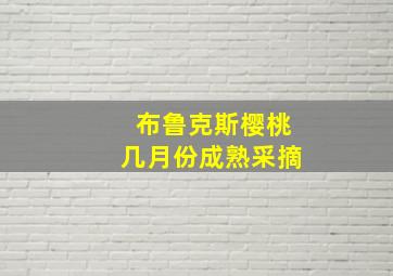 布鲁克斯樱桃几月份成熟采摘