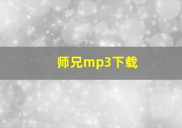 师兄mp3下载