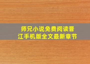 师兄小说免费阅读晋江手机版全文最新章节