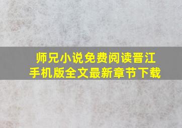 师兄小说免费阅读晋江手机版全文最新章节下载