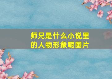 师兄是什么小说里的人物形象呢图片