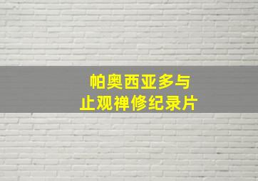 帕奥西亚多与止观禅修纪录片