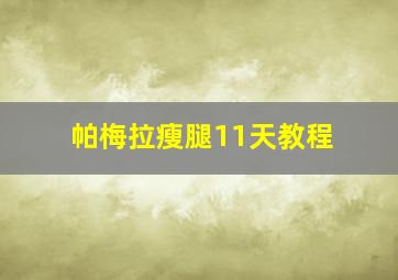 帕梅拉瘦腿11天教程