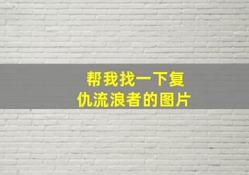 帮我找一下复仇流浪者的图片