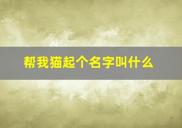 帮我猫起个名字叫什么