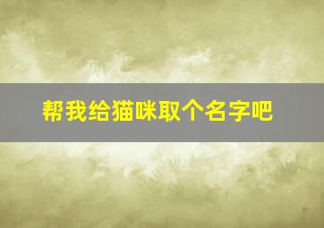 帮我给猫咪取个名字吧