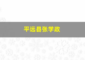 平远县张学政