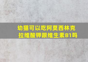 幼猫可以吃阿莫西林克拉维酸钾跟维生素B1吗