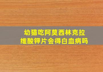 幼猫吃阿莫西林克拉维酸钾片会得白血病吗