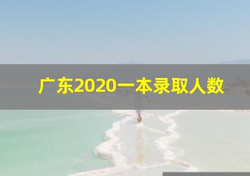 广东2020一本录取人数