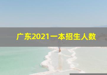 广东2021一本招生人数