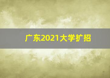 广东2021大学扩招