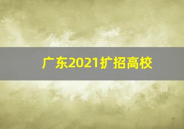 广东2021扩招高校