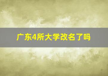 广东4所大学改名了吗