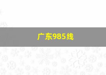 广东985线