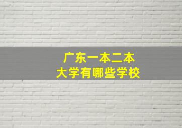 广东一本二本大学有哪些学校