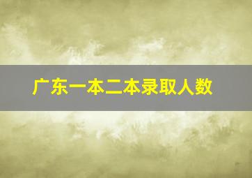 广东一本二本录取人数