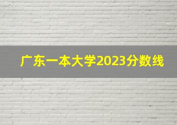 广东一本大学2023分数线