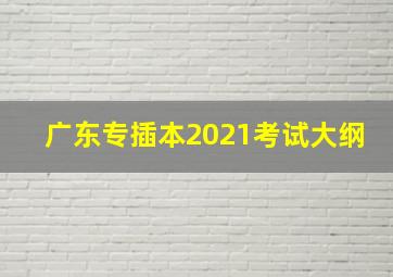 广东专插本2021考试大纲