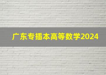 广东专插本高等数学2024