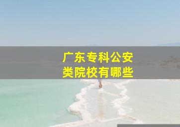 广东专科公安类院校有哪些