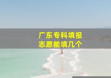 广东专科填报志愿能填几个