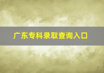 广东专科录取查询入口