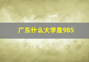 广东什么大学是985