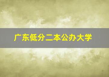 广东低分二本公办大学