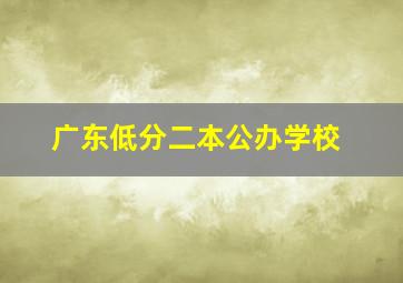 广东低分二本公办学校