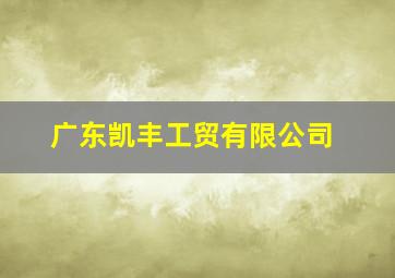 广东凯丰工贸有限公司