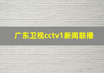 广东卫视cctv1新闻联播