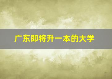 广东即将升一本的大学