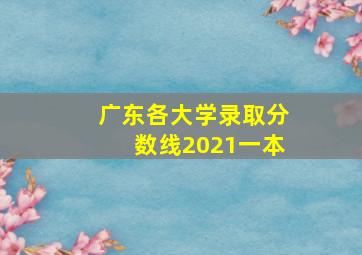 广东各大学录取分数线2021一本