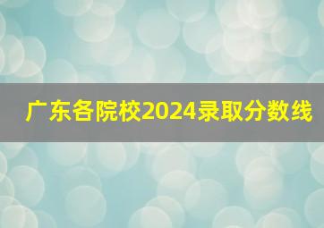 广东各院校2024录取分数线