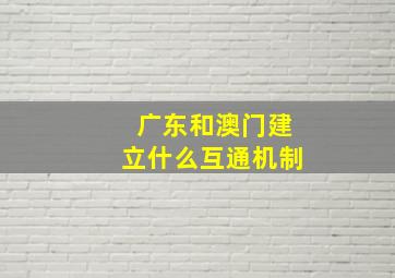 广东和澳门建立什么互通机制