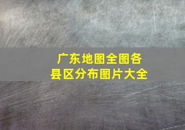 广东地图全图各县区分布图片大全