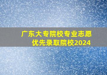 广东大专院校专业志愿优先录取院校2024