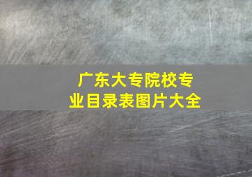 广东大专院校专业目录表图片大全